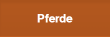 Pferde